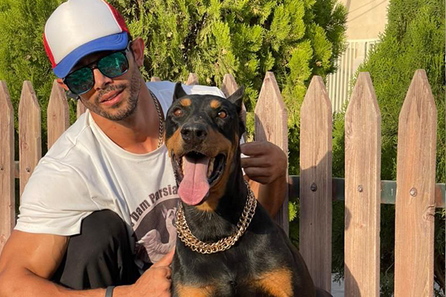 مولد نژاد دوبرمن ژنرال